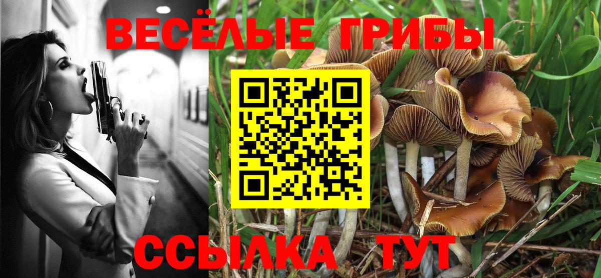 Амфетамин Унеча