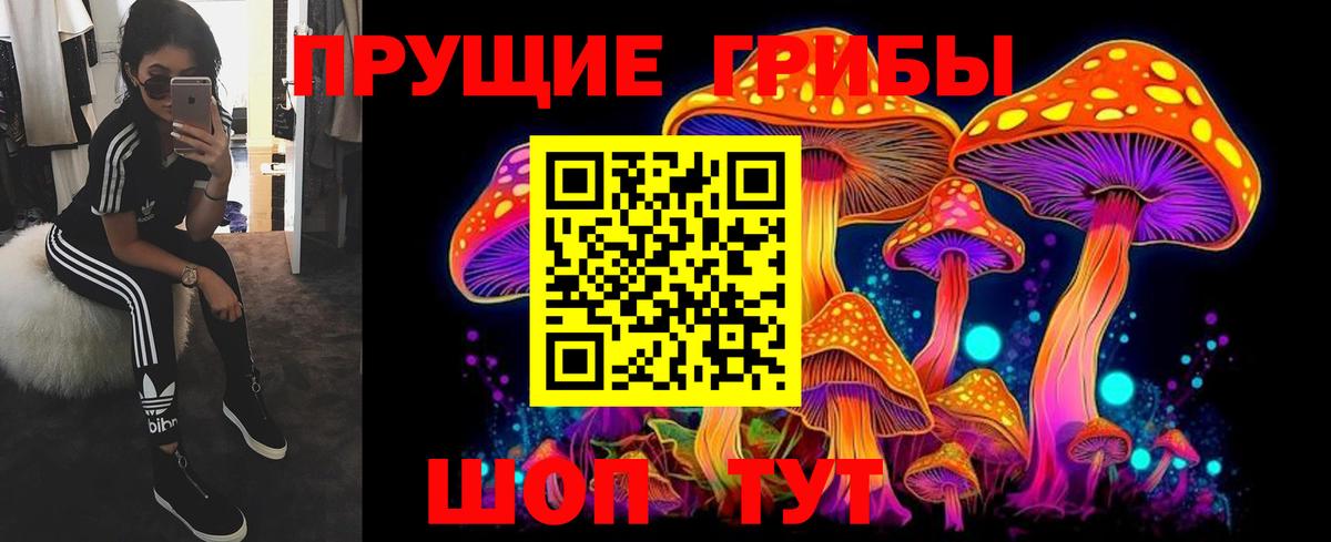 Галлюциногенные грибы Cubensis  Вход с VPN  Унеча 