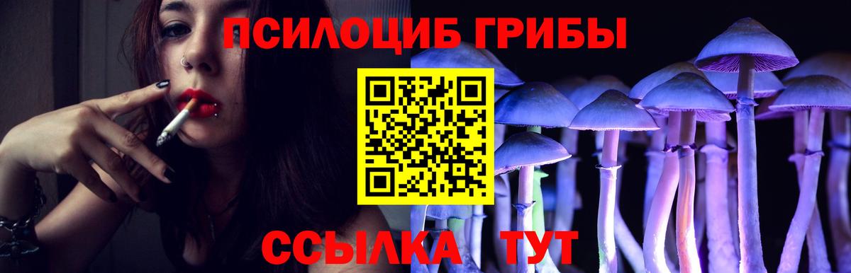 Псилоцибиновые грибы Magic Shrooms Унеча